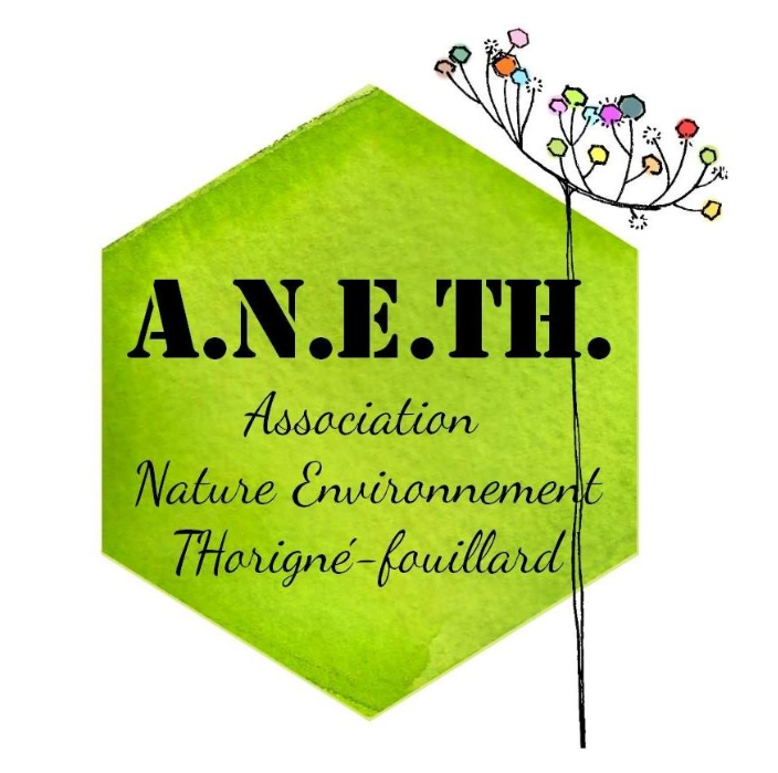 aneth