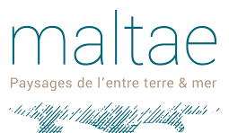 logo-maltae