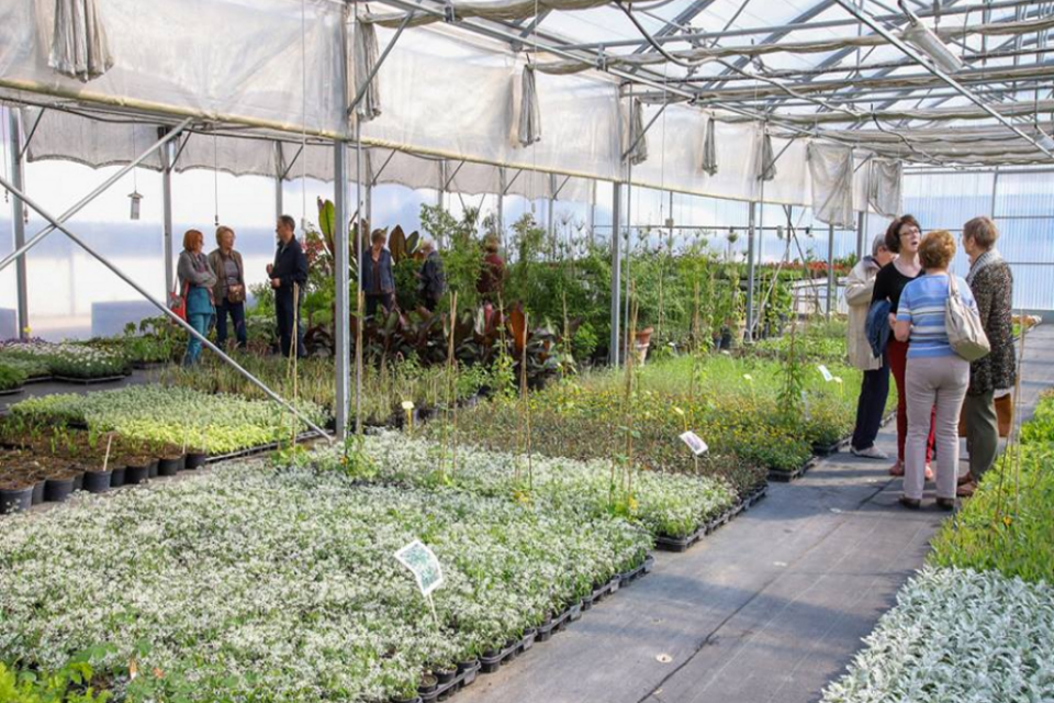 Visite des serres municipales de l&rsquo;Orangerie