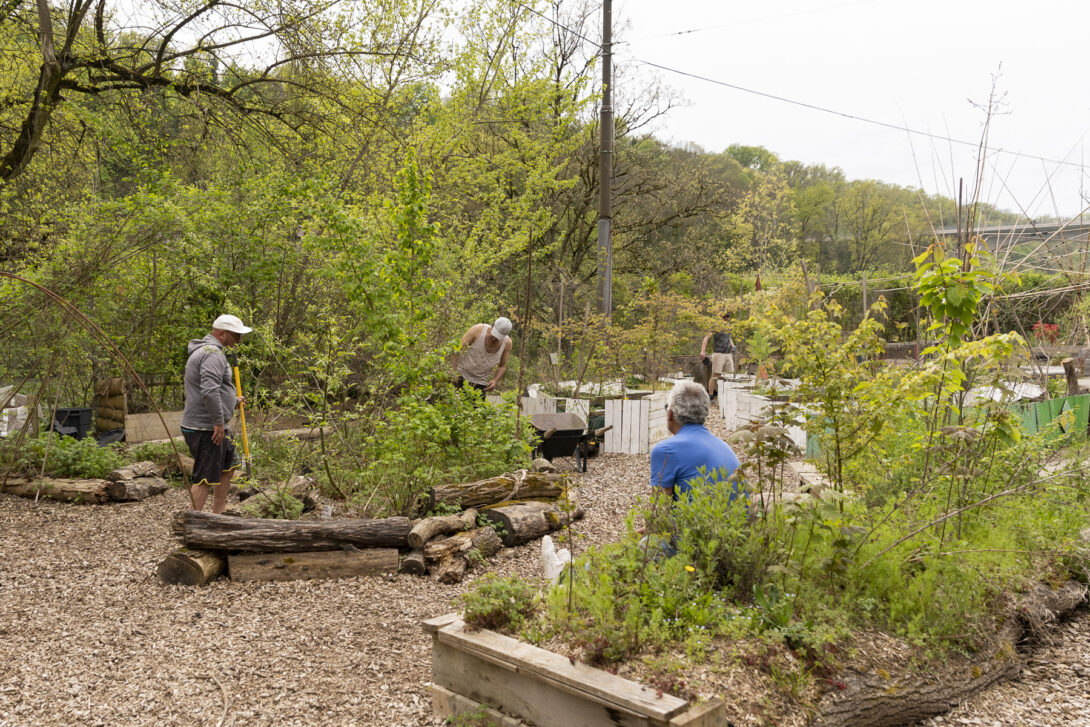 Jardins de la Jonction