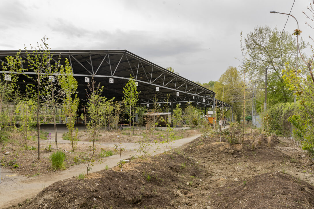 Jardins de la Jonction