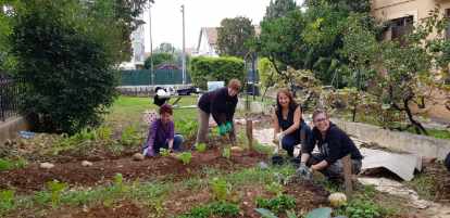 Jardin partagé : quelques clefs pour bien démarrer votre projet !