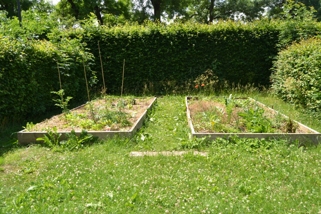 Comment améliorer un sol – l’exemple du jardin communautaire de Bettembourg