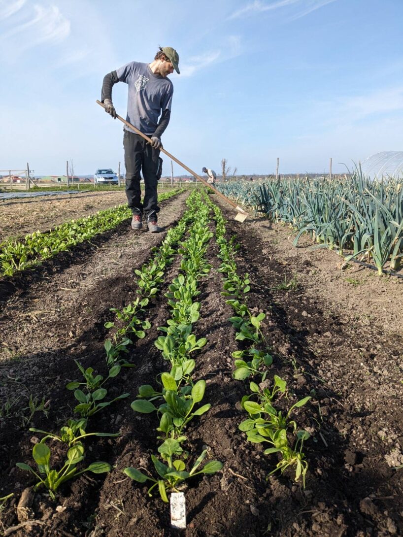 Documentaire-débat « Sols couverts d&rsquo;Espoir »