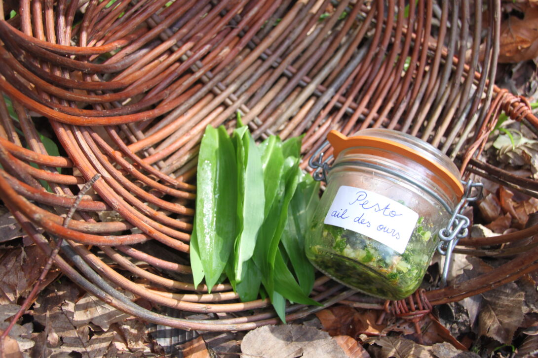 Visite ferme + Cuisine sauvage