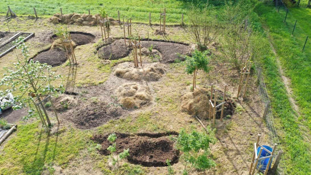 Visite guidée du jardin-forêt de Mersch