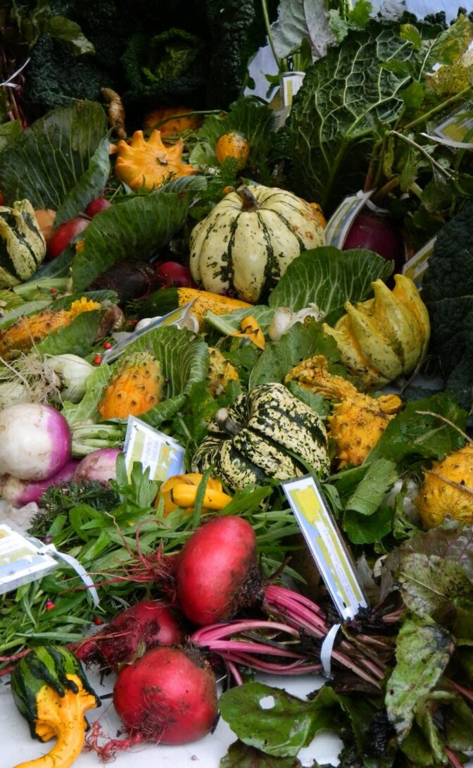 Jardin solidaire des Prés Saint-Jean