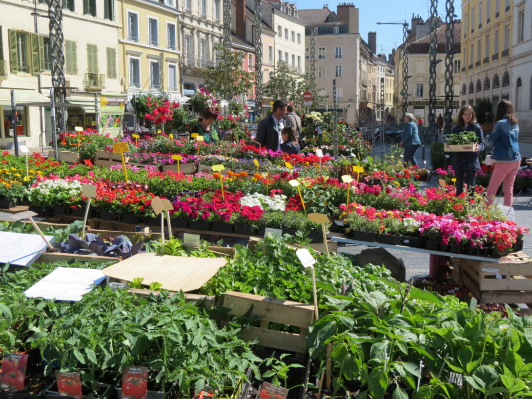 Place aux Fleurs