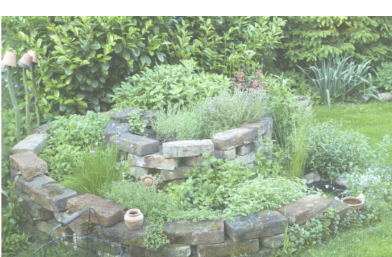 Le pouvoir des plantes aromatiques