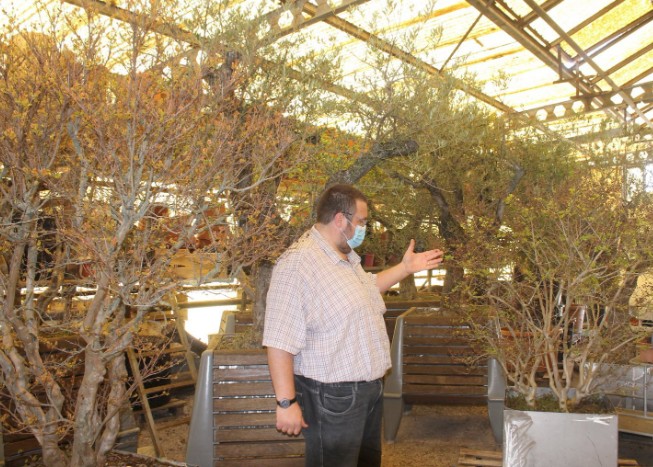 Visite des serres municipales