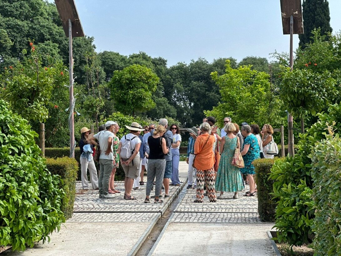 Végétalisation participative : sols fertiles, plantes comestibles et sauvages de nos rues