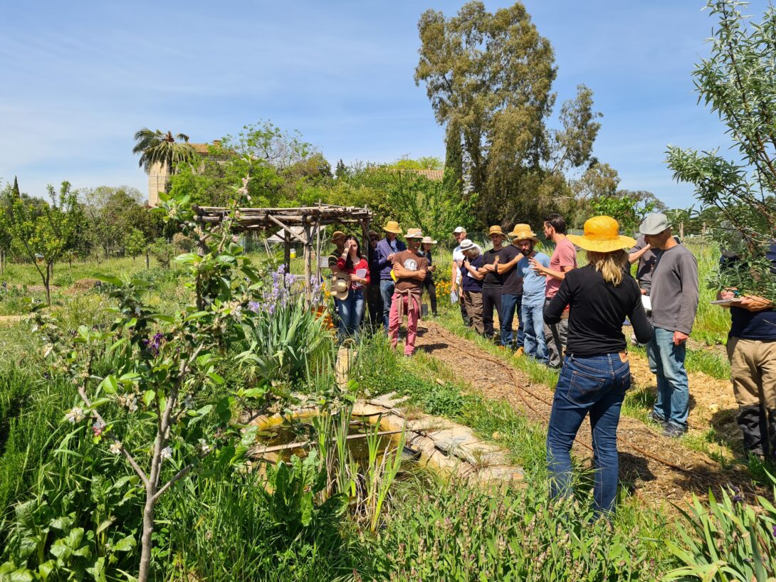 Mettre en place et maintenir son système d’irrigation