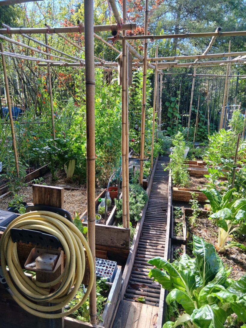 Potager de la Villa Ratti : visite et rencontres