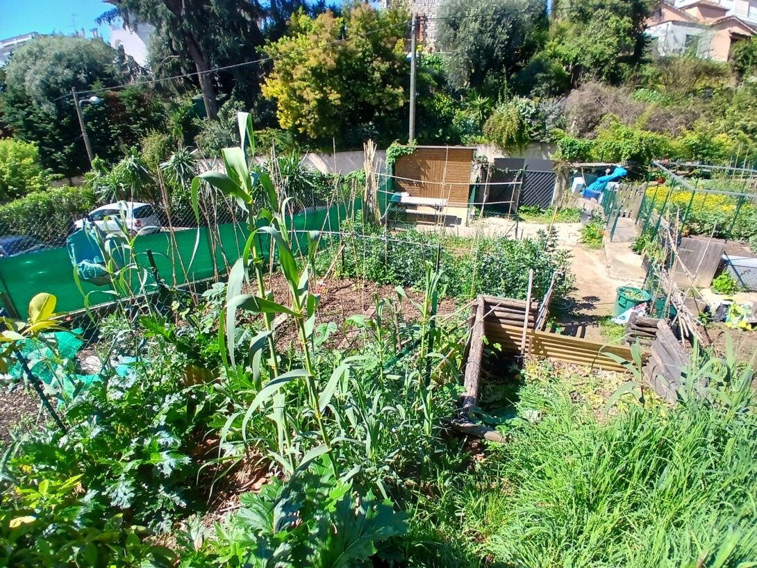 Potager Edouard Herriot : ouverture le samedi 25 avril