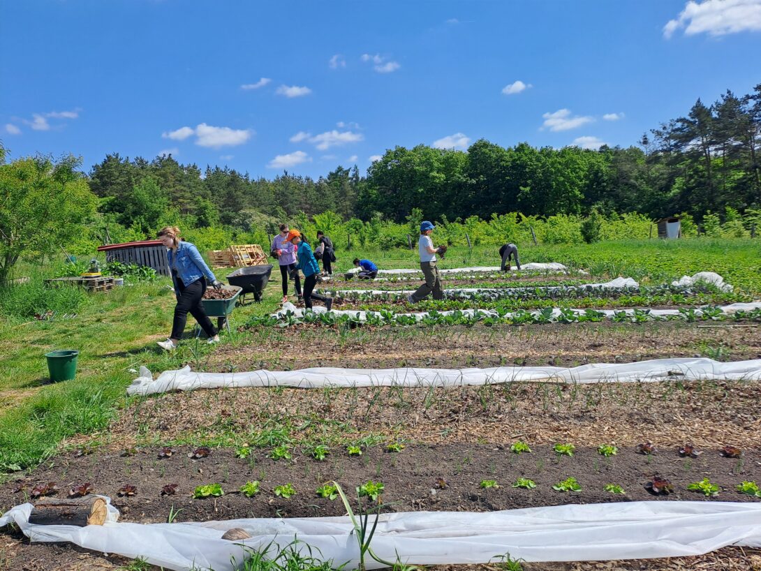 Den otevřených vrátek a workshop květinového guerrila gardeningu na komunitní zahradě MetroPole v Jinonicích