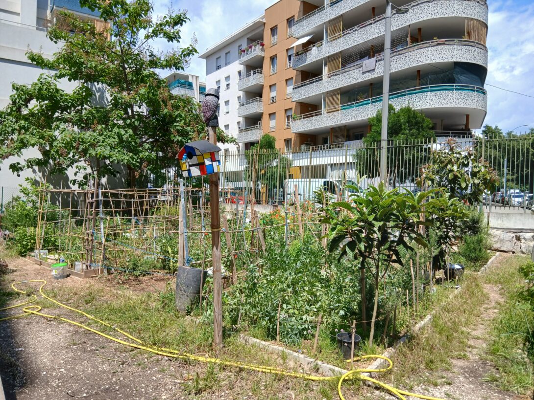 Potager de la PaNpa : visite et ateliers