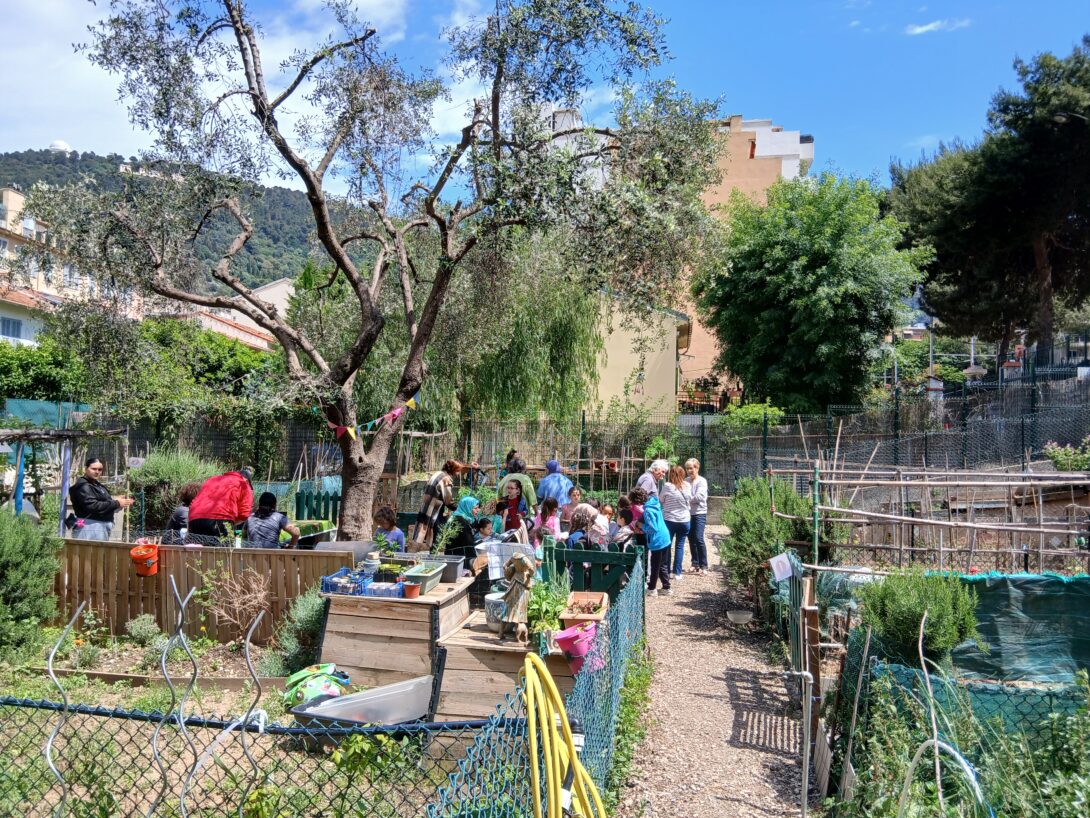 Potager Lippmann : au programme jeu géant, atelier quizz et plantations