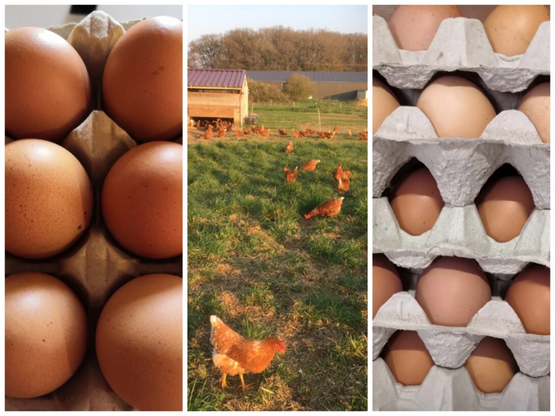 Découverte de la ferme La Folie Bergère (Nouaillé-Maupertuis)