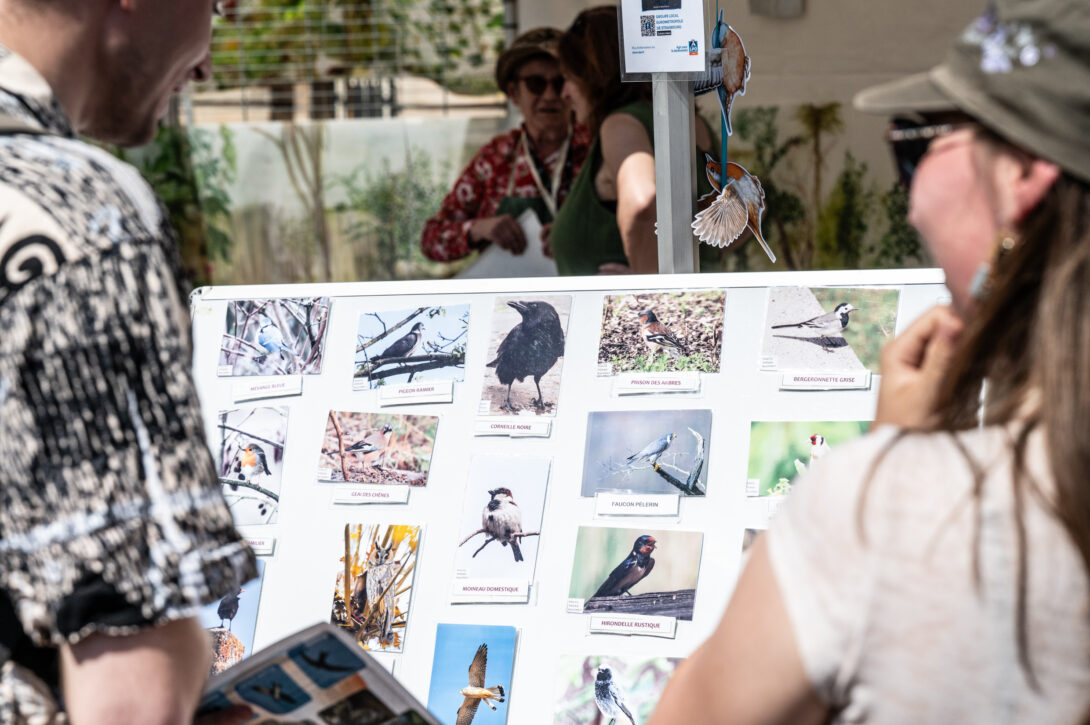 Stand d&rsquo;information LPO alsace