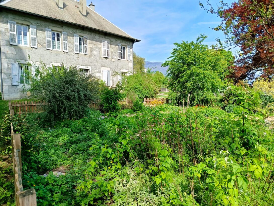 Venez à la découverte du jardin du presbytère à Cognin