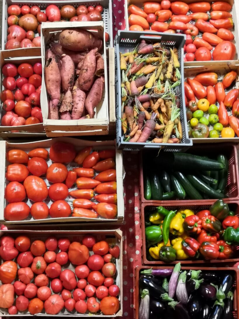Découverte de la ferme La Folie Bergère (Nouaillé-Maupertuis)