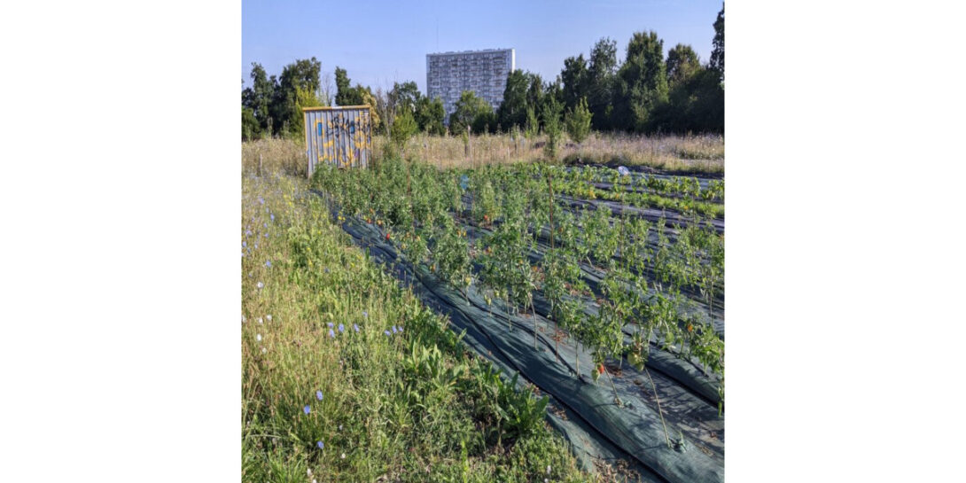 Portes ouvertes à « la Ferme Urbaine de la Piquetterie »