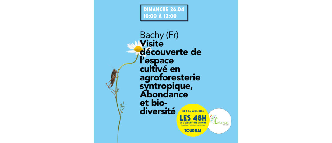 Découverte de l&rsquo;espace cultivé en agroforesterie syntropique