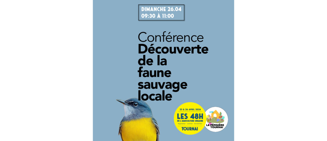 Découverte de la faune sauvage locale