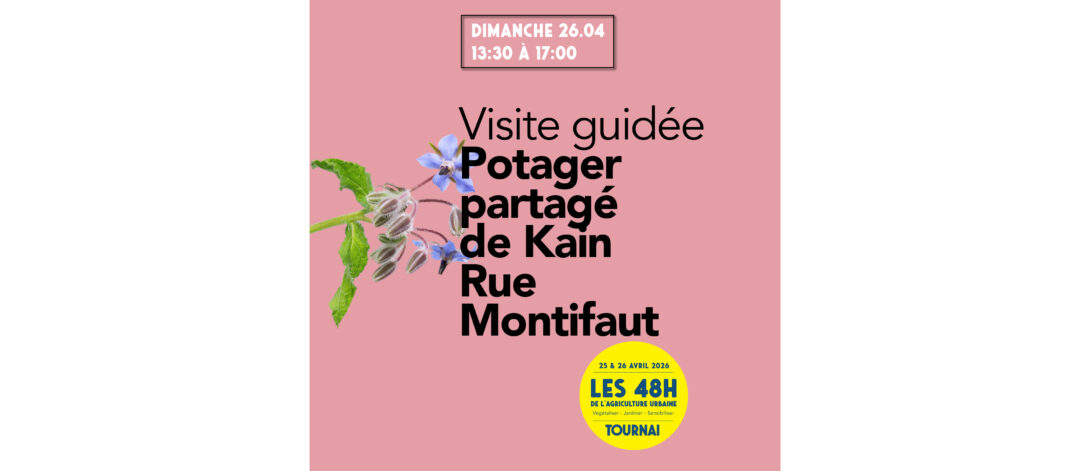 Visite du potager partagé de la rue Montifaut à Kain (Tournai)