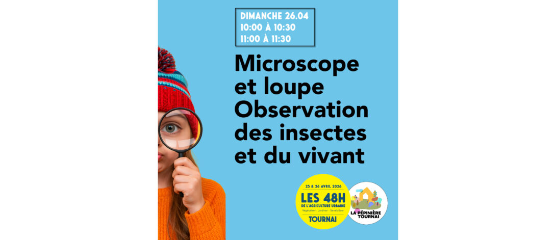 Observation des insectes et du vivant