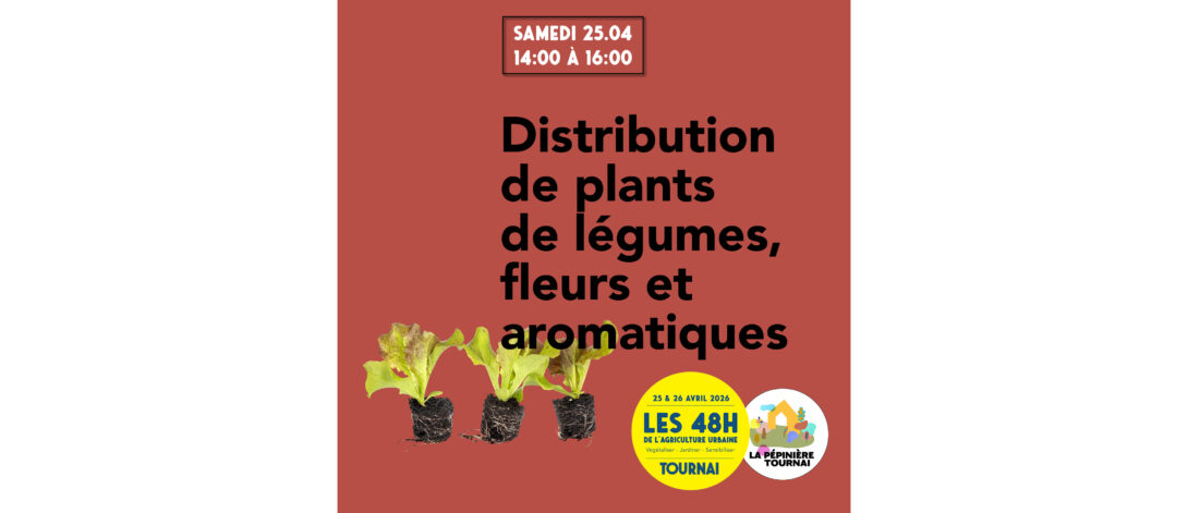 Distribution de plants de légumes, fleurs et aromatiques
