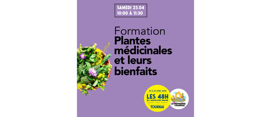 Plantes médicinales et leurs bienfaits