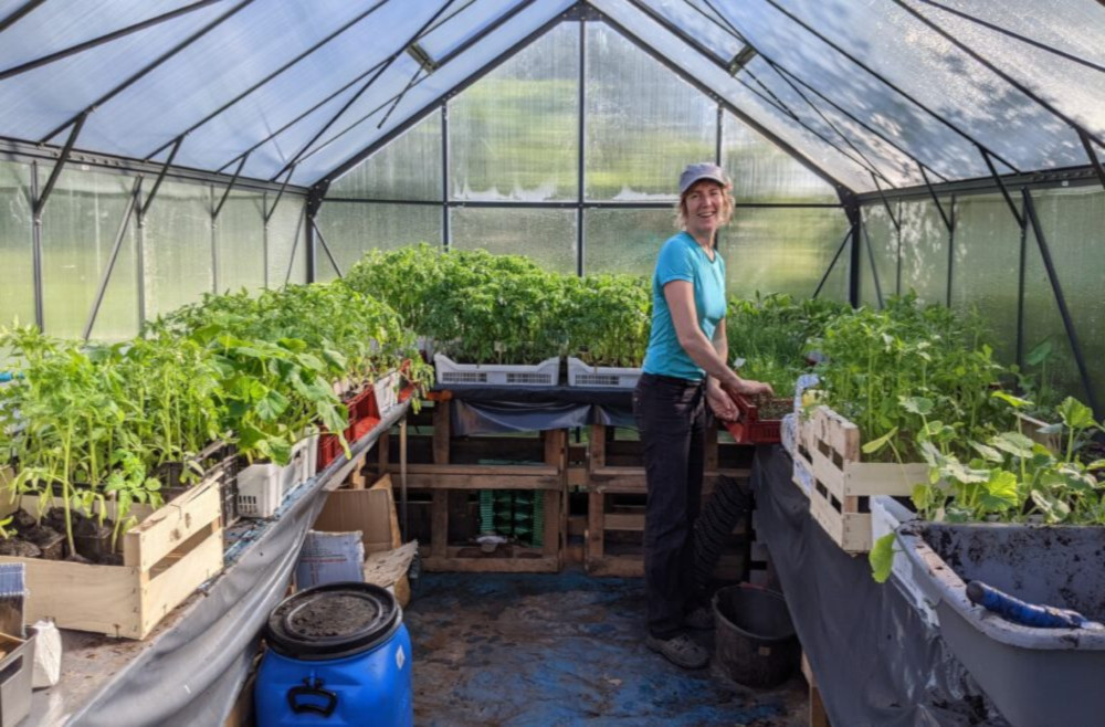 Vente de plants de légumes et aromatiques biologiques de la ferme du Chapeau de Paille