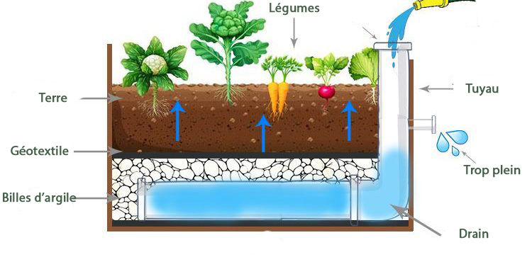 Création d&rsquo;un bac potager autonome en eau