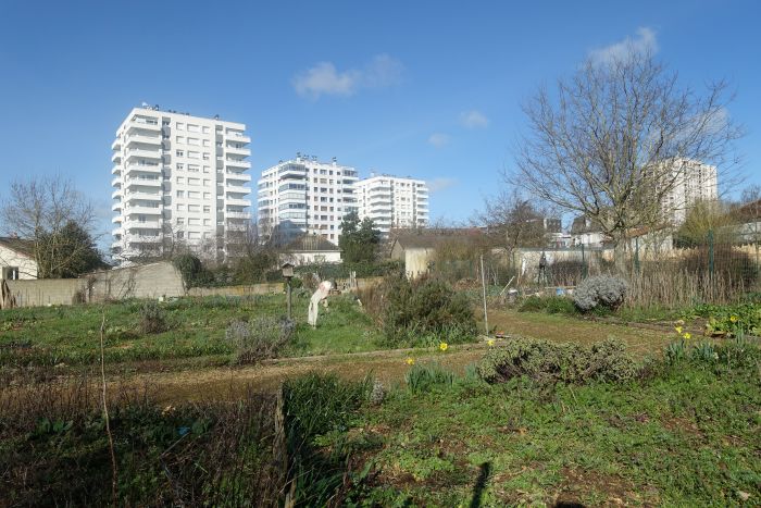 Petite ascension d&rsquo;agricultures urbaines