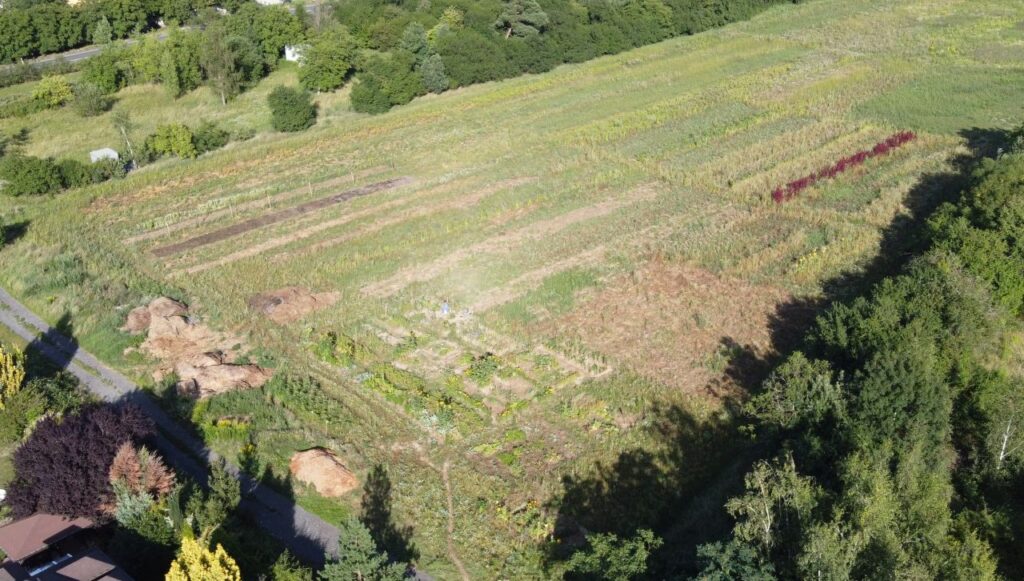 Den otevřených dveří