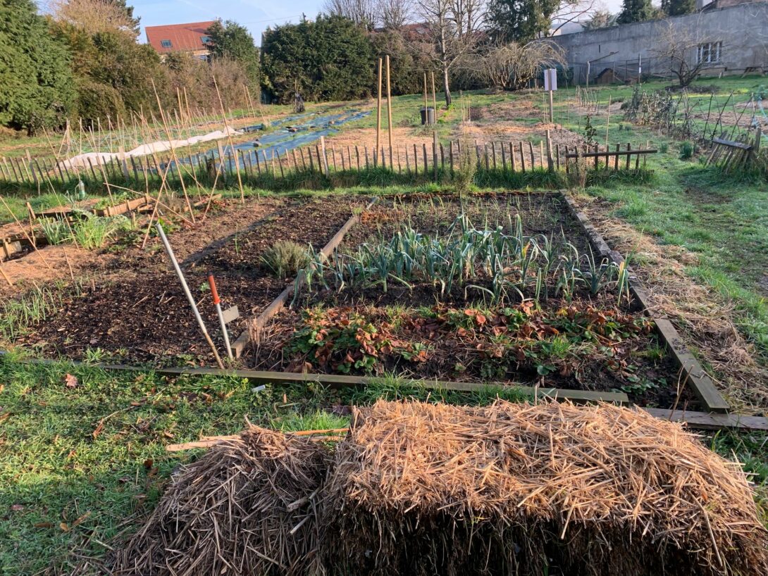 Viroflay – Troc de graines