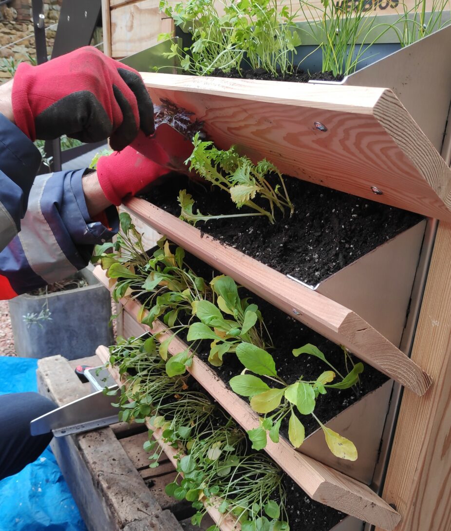 Installons ensemble un potager vertical à Vaulx-en-Velin !