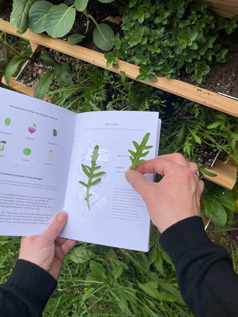 Installons ensemble un potager vertical à Vaulx-en-Velin !