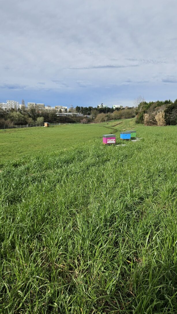 Terres des Coteaux ouvrent leurs serres