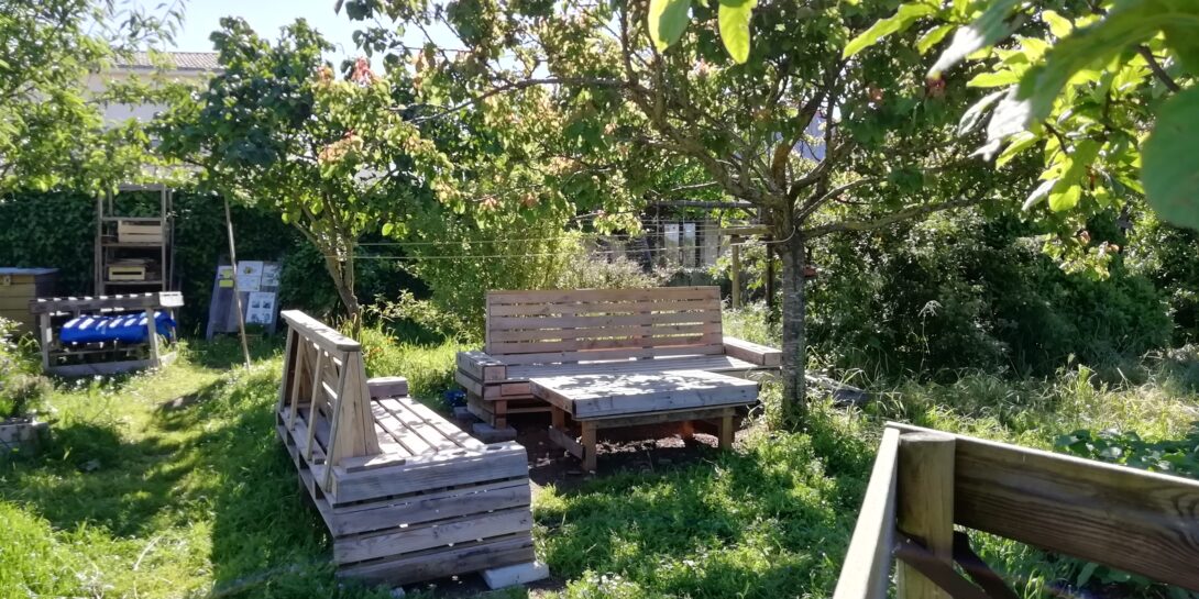 Créez un ombrage pour économiser l&rsquo;arrosage au jardin des Frênes