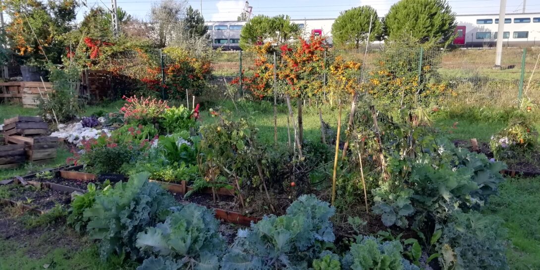 Créez un ombrage pour économiser l&rsquo;arrosage au jardin des Frênes