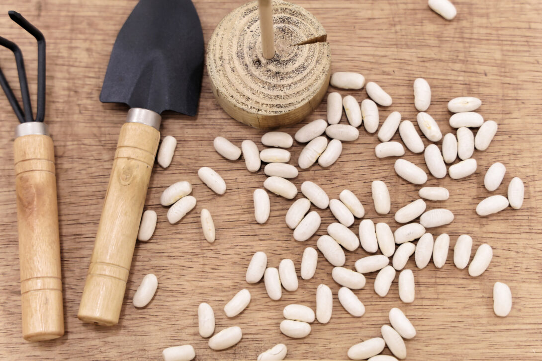 La mafia des tomates #2