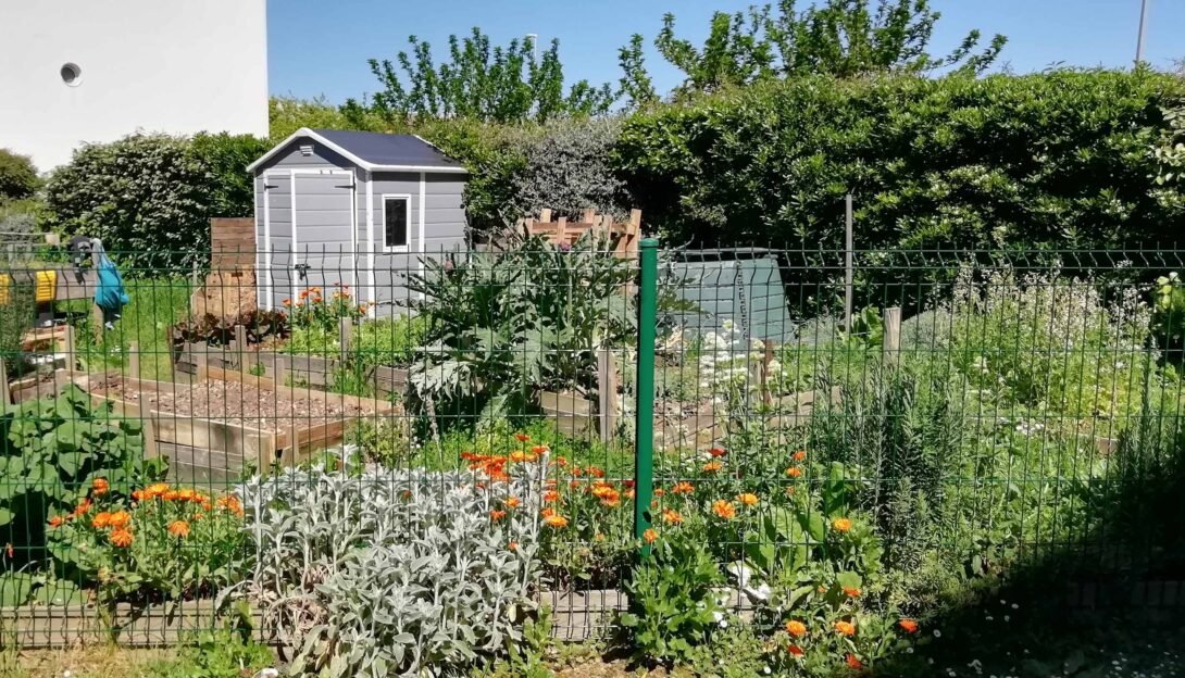 Construisez votre hôtel à insecte au Jardin Lippman