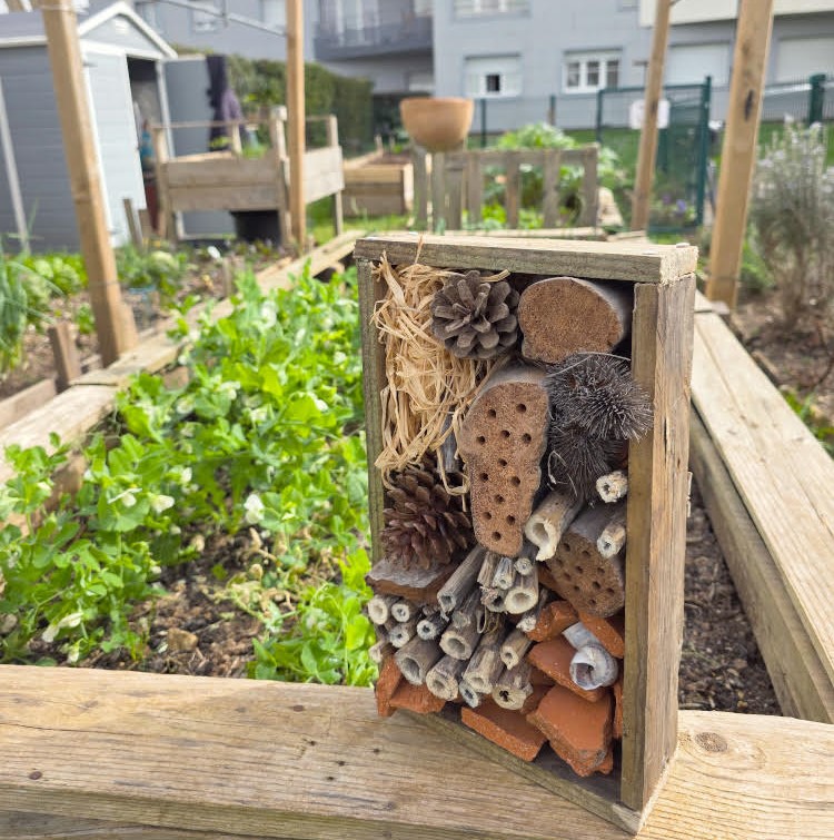 Construisez votre hôtel à insecte au Jardin Lippman
