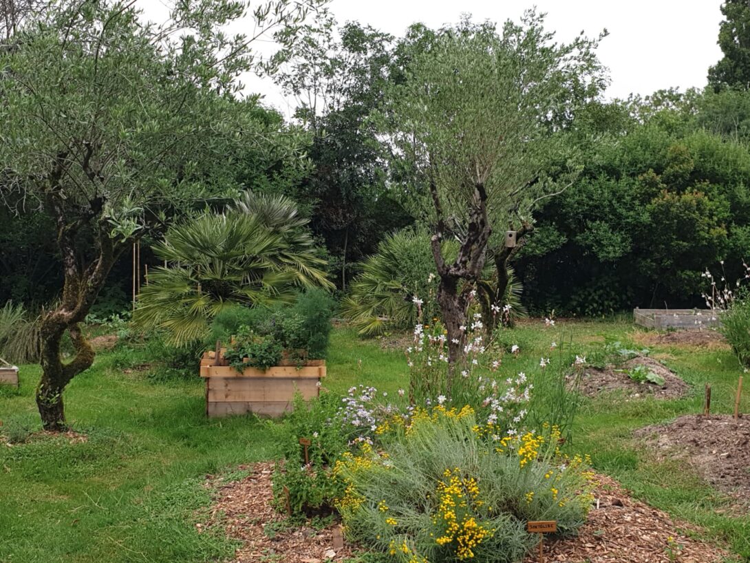 Pique-nique au jardin Eucalyptus