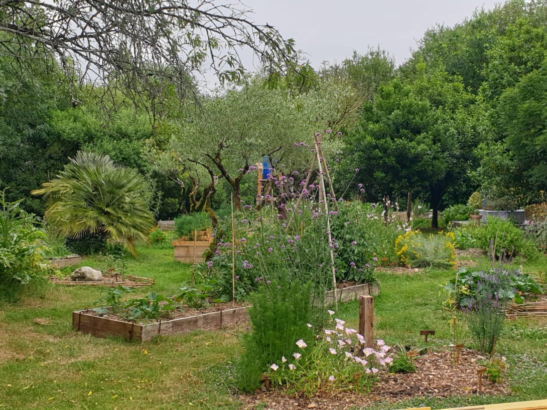 Pique-nique au jardin Eucalyptus