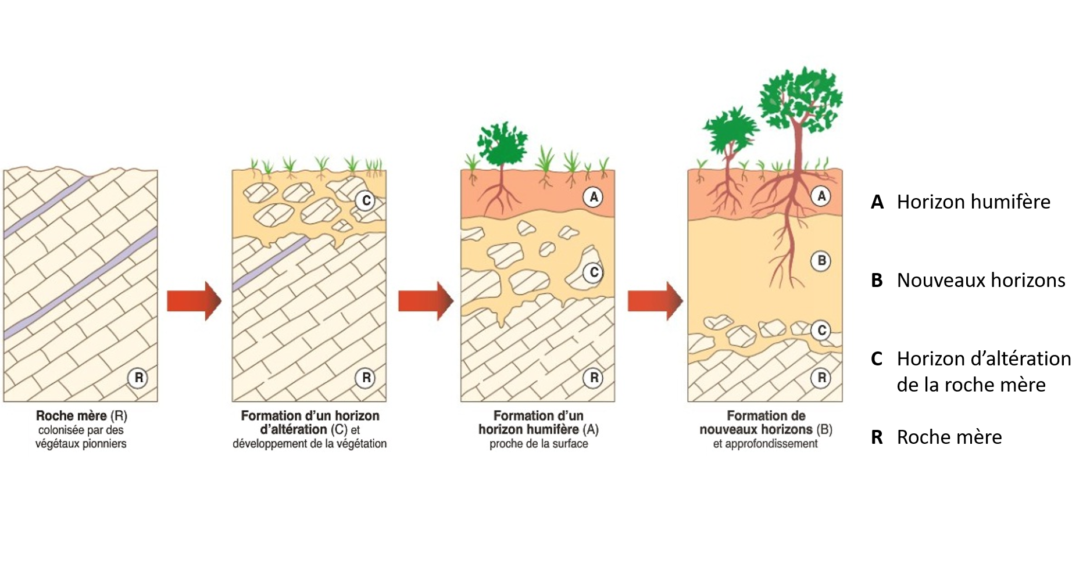 Participez à la Fresque du Sol