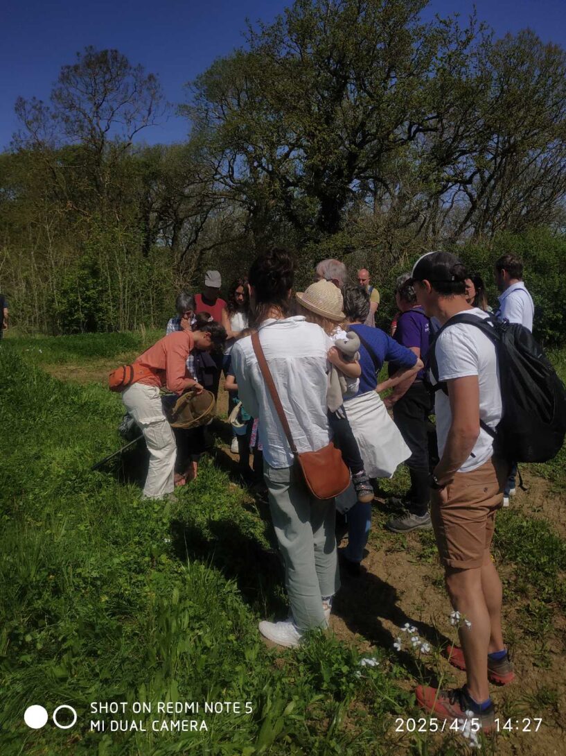 Découverte de la faune sauvage autour de la Super Ferme