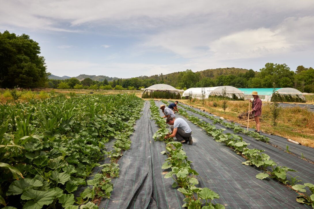 Matinée porte ouverte Potagers et Compagnie